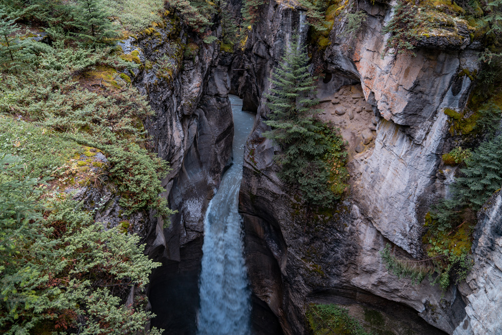 Maligne Canyon Jasper National Park