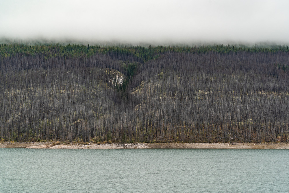 Medicine Lake Fire Jasper National Park