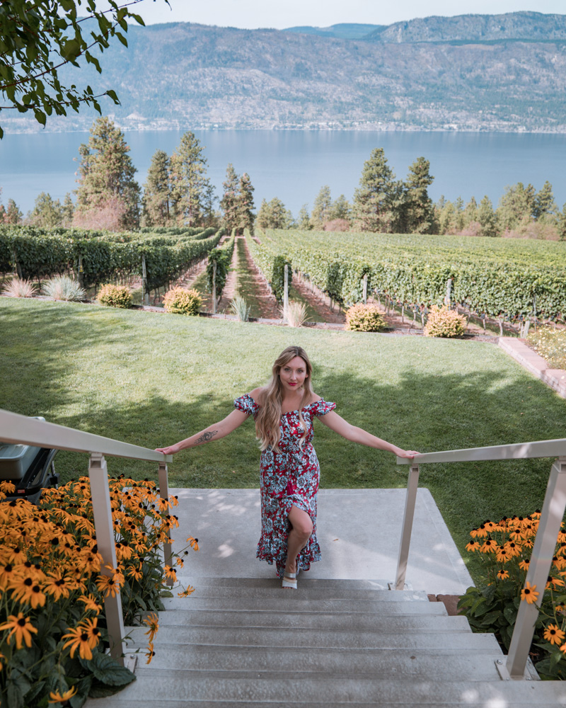 Arrowleaf Vineyard Kelowna