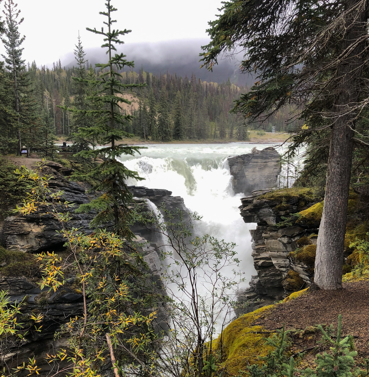 Athabasca Falls Jasper National Park