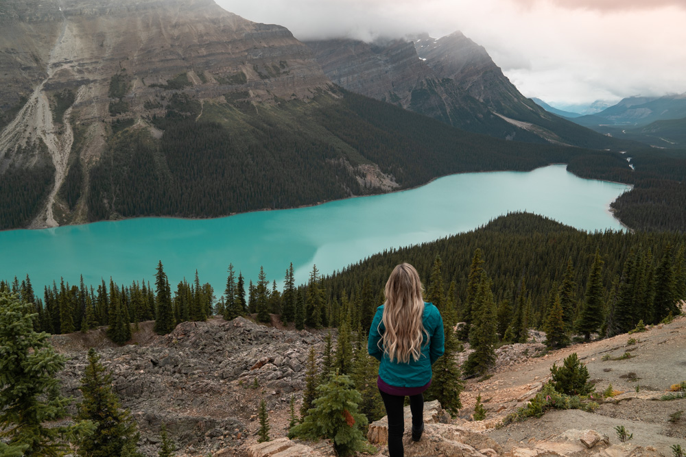 Peyto Lake overlook