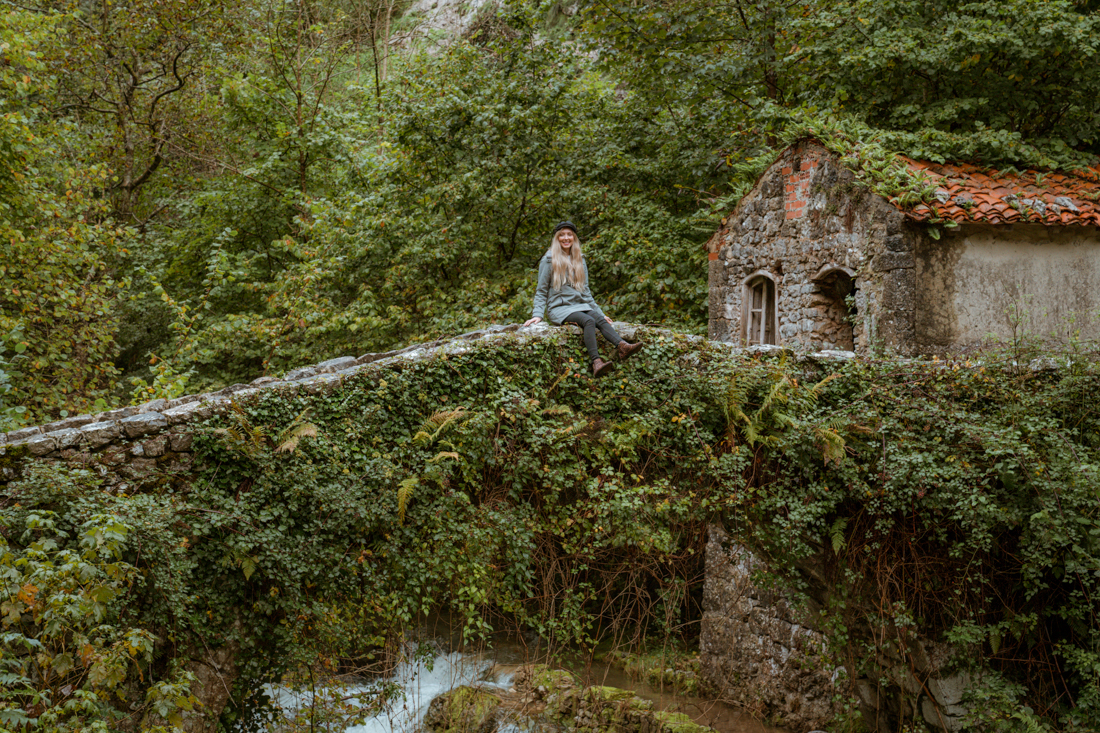 foliage bridge in Picos de Europas