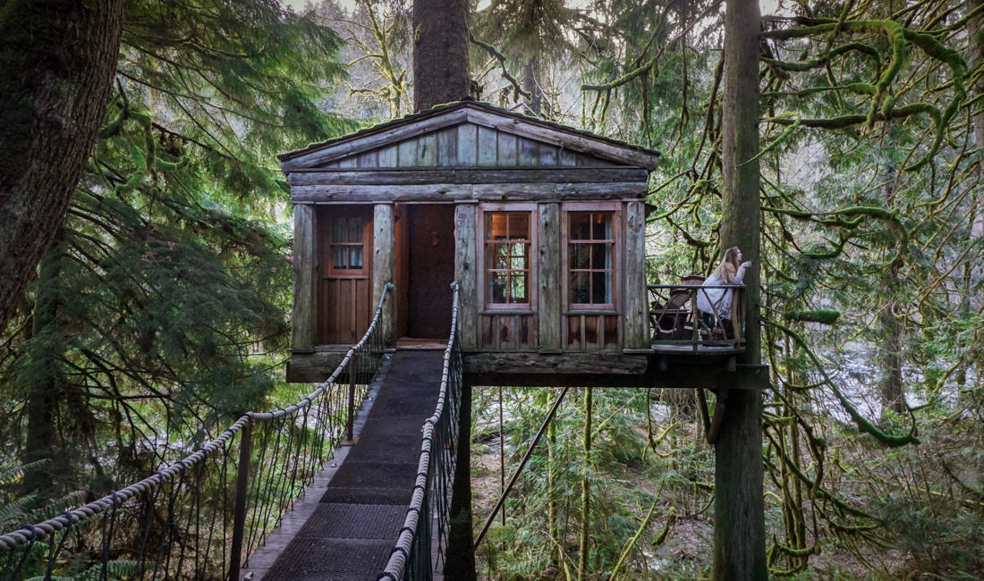 Treehouse point Temple of the Blue Moon Washington