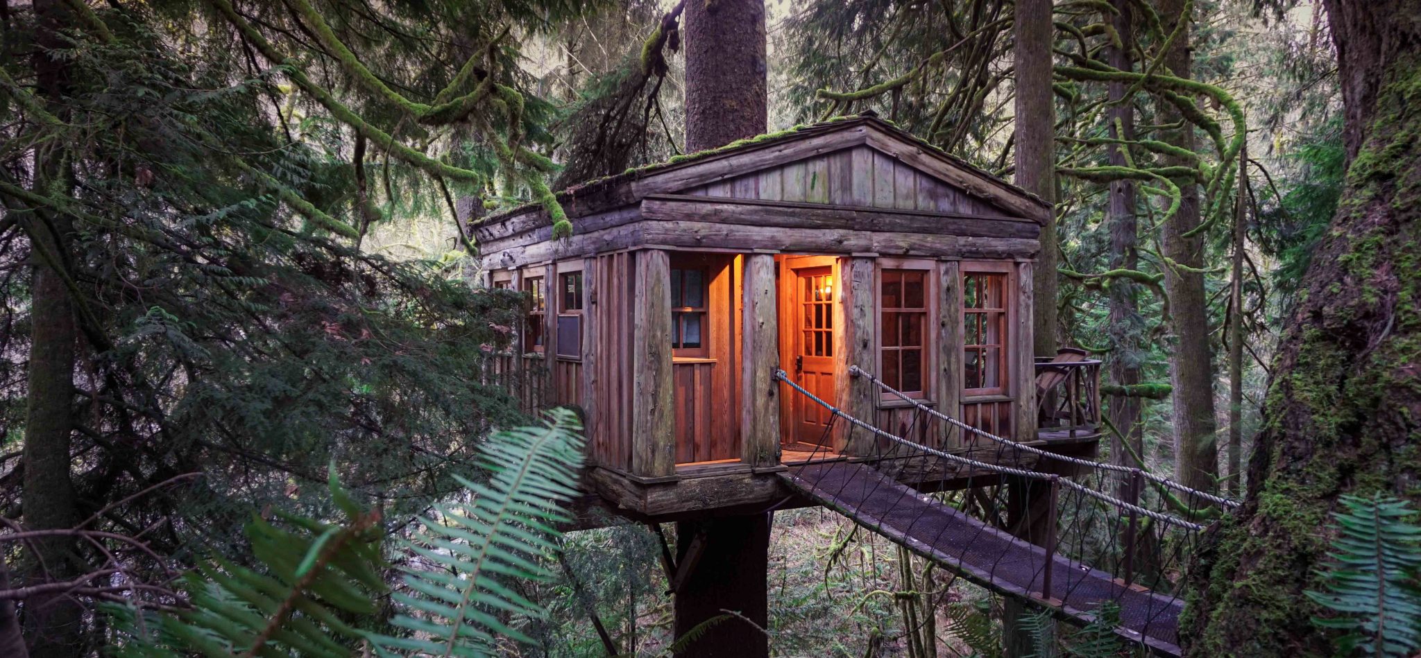 Treehouse Point Temple of the blue moon
