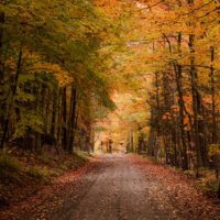 New England Fall road